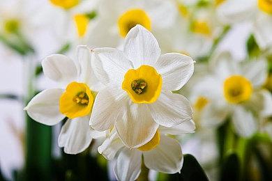 古风城市建造游戏《岁久丹青》新预告 试玩版Steam上线